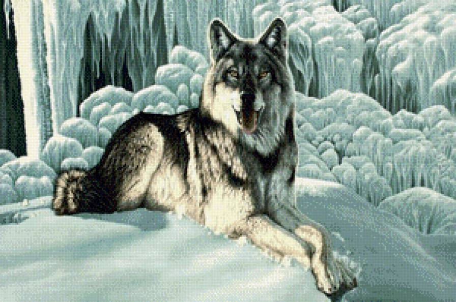 №537320 - животные, волк, зима - предпросмотр