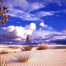 Схема вышивки «природа»