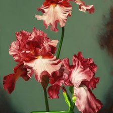 Схема вышивки «Ирисы»