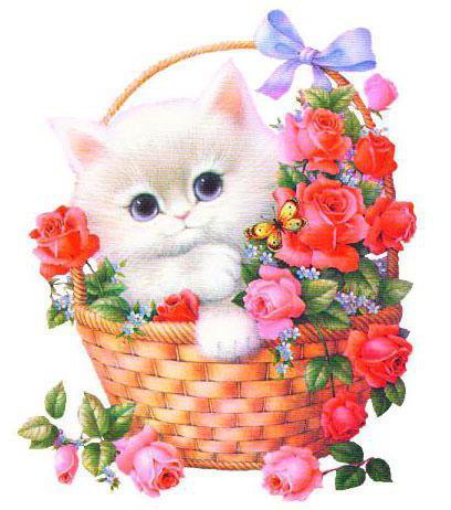 подарок - цветы, котенок, розы - оригинал