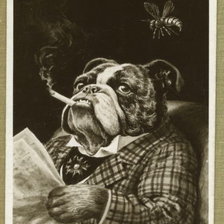 Схема вышивки «шерлок дог»