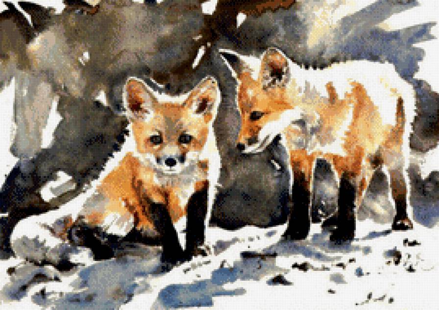 лисята акварель - рисунки, животные - предпросмотр