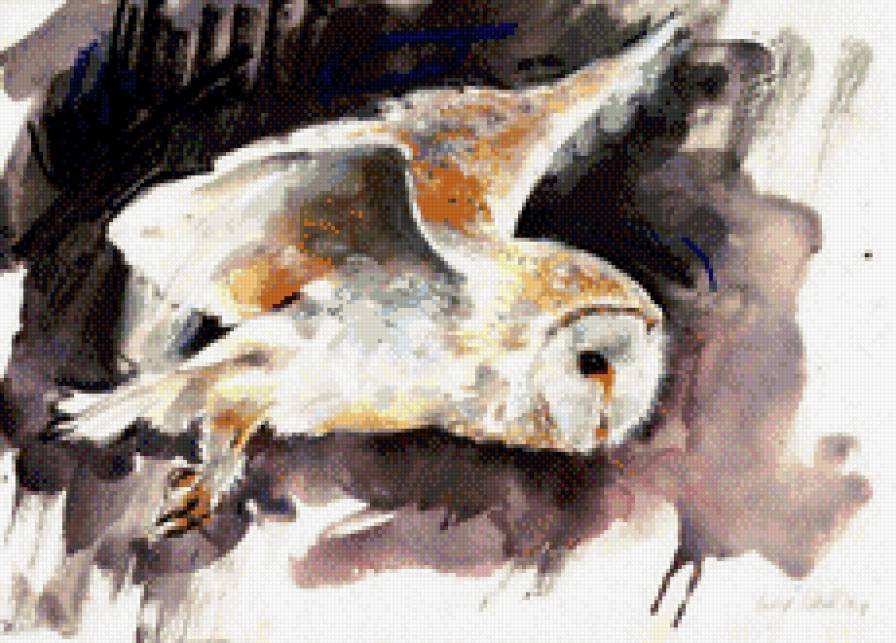 полярная сова акварель - животные, рисунки - предпросмотр