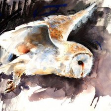 Схема вышивки «полярная сова акварель»