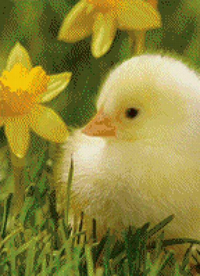 птенчик - животные, птицы - предпросмотр