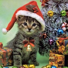 новогодний котейка