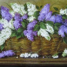 сирень в корзине