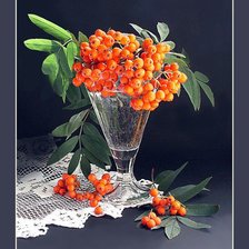 Схема вышивки «Рябина»