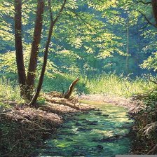 лесной ручей