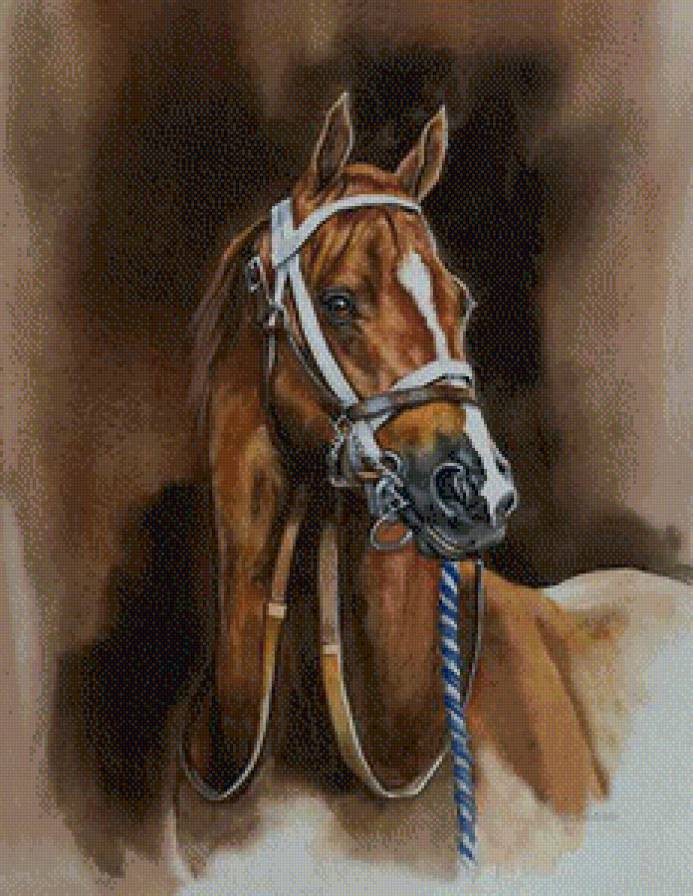 джуди гибсон 7 скакун - единорог, конь, джуди гибсон, лошадь - предпросмотр