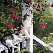 Схема вышивки «Кошки с фуксией»