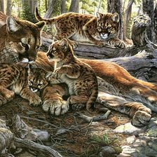 Схема вышивки «Пума»