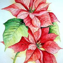 Схема вышивки «рождественская звезда»