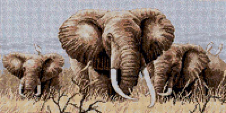 слоны - предпросмотр