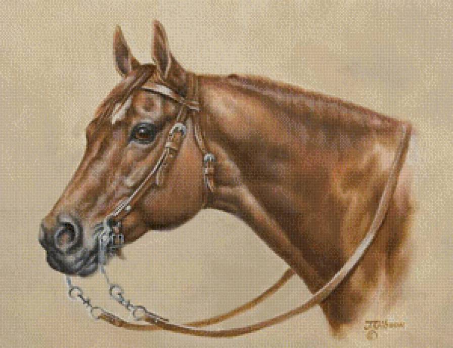 джуди гибсон 18 гнедой - единорог, животные, лошадь, пегас, конь, джуди гибсон - предпросмотр