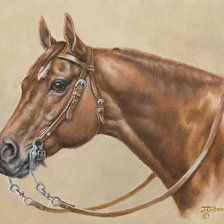 Схема вышивки «джуди гибсон 18 гнедой»