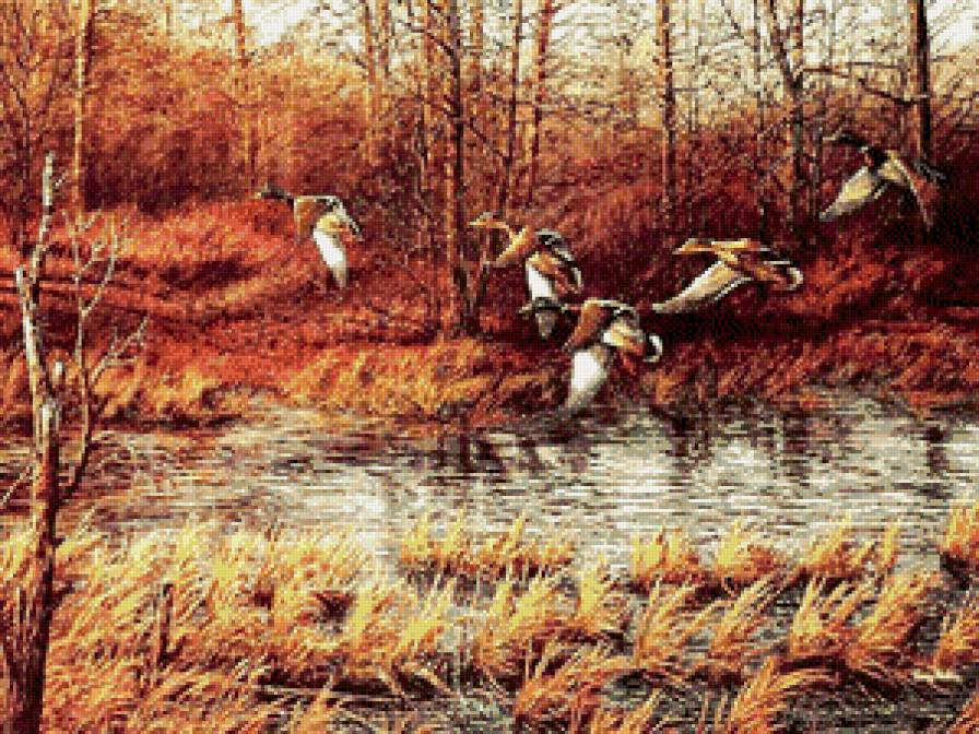 полет уток - птицы, осень, утки, пейзаж - предпросмотр