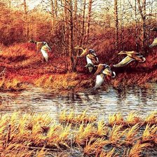 Схема вышивки «полет уток»