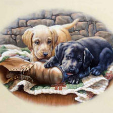 Схема вышивки «джуди гибсон 19 щенки овал»