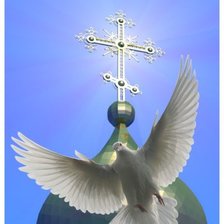 Голубь мира