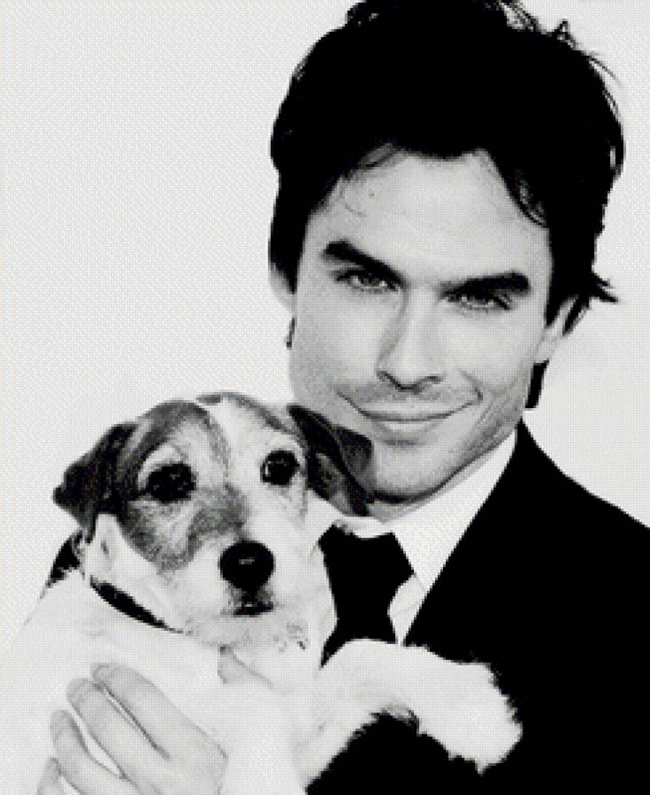 Иен Сомерхолдер - дневники вампира, актер, дэймон, мужчина, портрет, иен сомерхолдер - предпросмотр