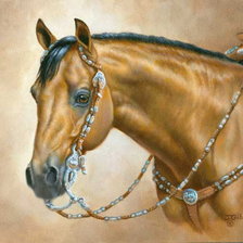 Схема вышивки «джуди гибсон 21 рыжый конь»