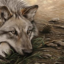 Схема вышивки «Волк»