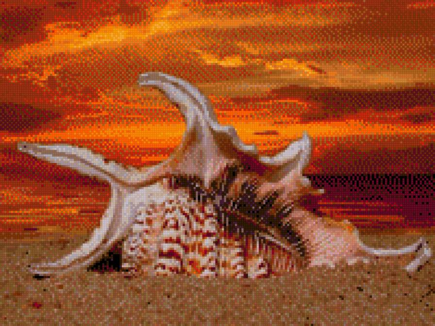 Дары моря - ракушки - предпросмотр