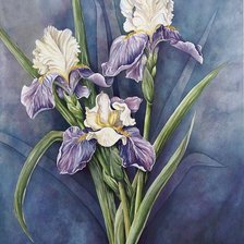 Схема вышивки «ирисы»