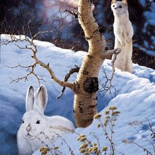 Схема вышивки «Зима в лесу»