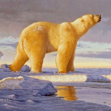 Схема вышивки «Мишка на севере»