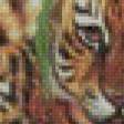Предпросмотр схемы вышивки «тигрята» (№538897)