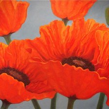 Схема вышивки «маки»