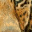 Предпросмотр схемы вышивки «тигр» (№538935)