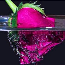 Схема вышивки «Роза»