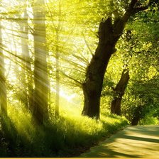 Схема вышивки «Лес»