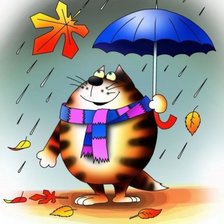 осенний дождь