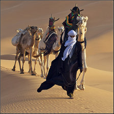 Схема вышивки «Караван»