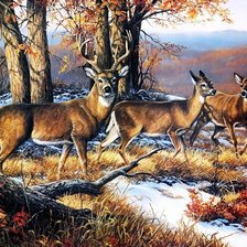 Схема вышивки «№539315»