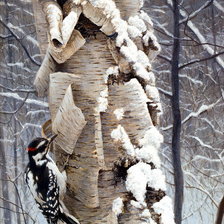 Схема вышивки «дятел на берёзе»