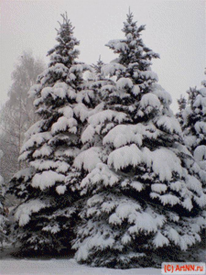 заснеженые ели - лес, снег, елки, сосна, зима, дерево, пейзаж, ели, природа, сугроб - предпросмотр