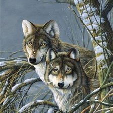 Схема вышивки «волки»