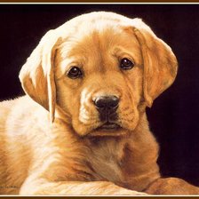 Схема вышивки «маленький»