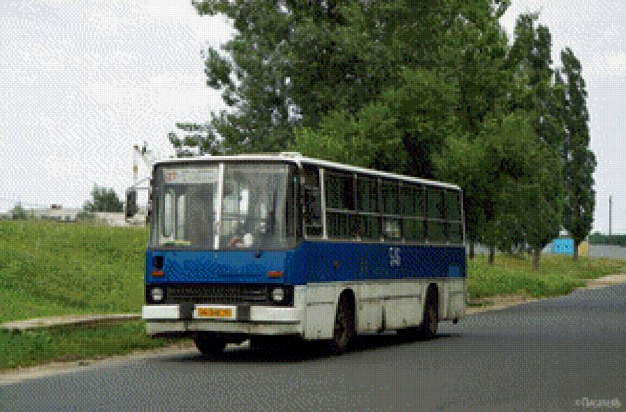 В ожидании пассажиров - дорога, автобус, поле, деревья, икарус, транспорт - предпросмотр