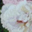 Предпросмотр схемы вышивки «букет» (№539477)