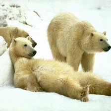 Схема вышивки «медведи»