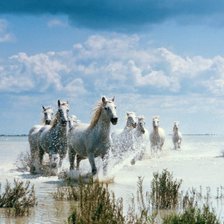 Схема вышивки «лошади»