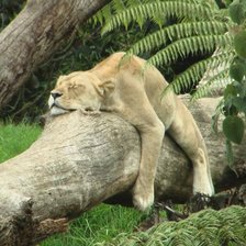 Схема вышивки «2»