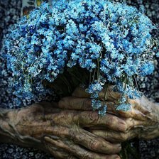 Мамины руки