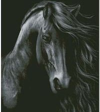 Схема вышивки «черный конь»